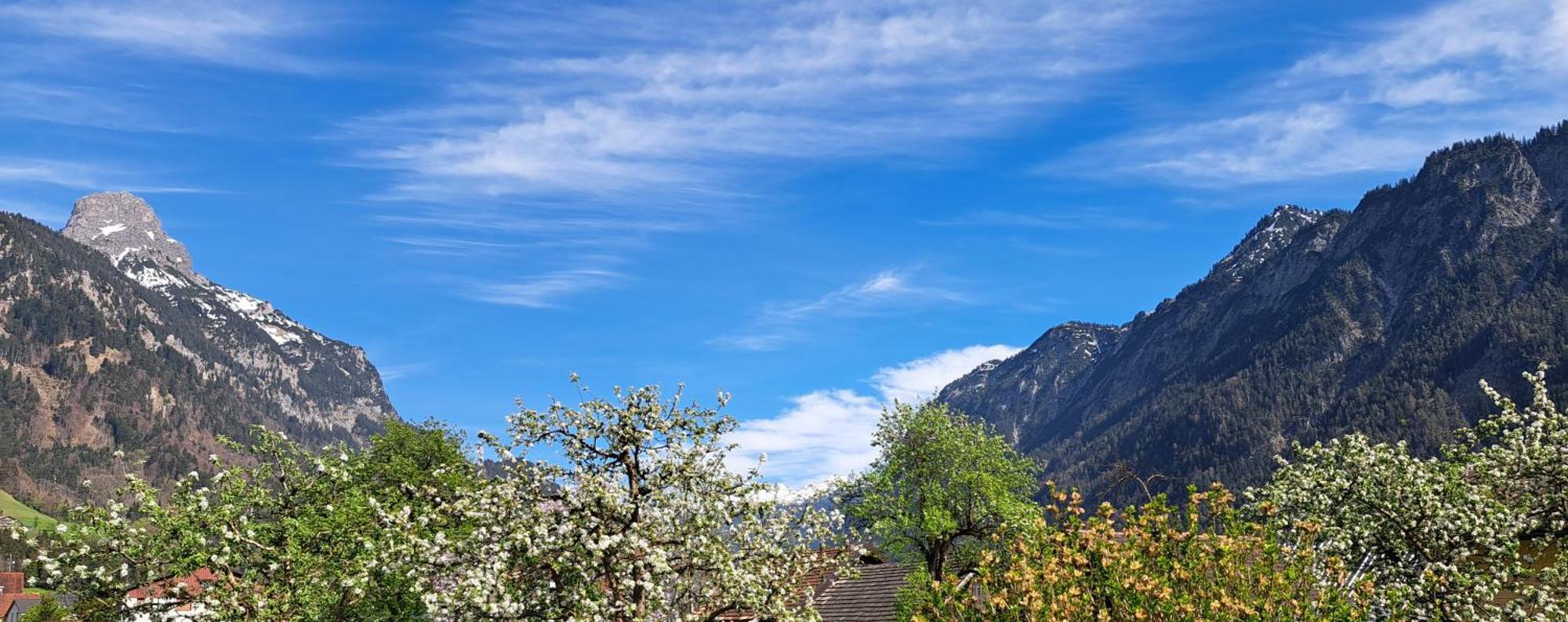 Baers Mountain Stay Ausserbraz Innerbraz Exterior foto